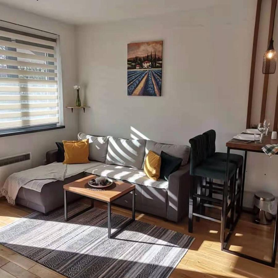 Zlatni Bor Apartament