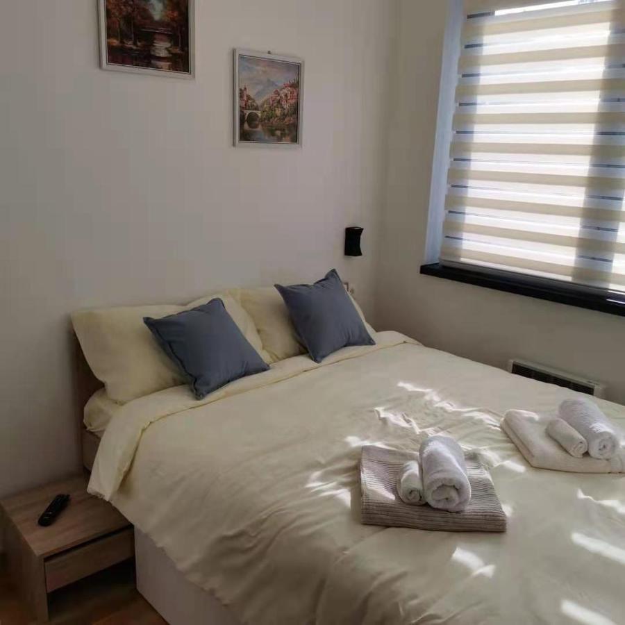 Zlatni Bor Apartament