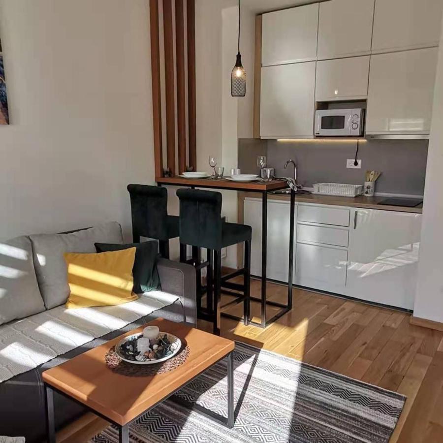 Zlatni Bor Apartament *